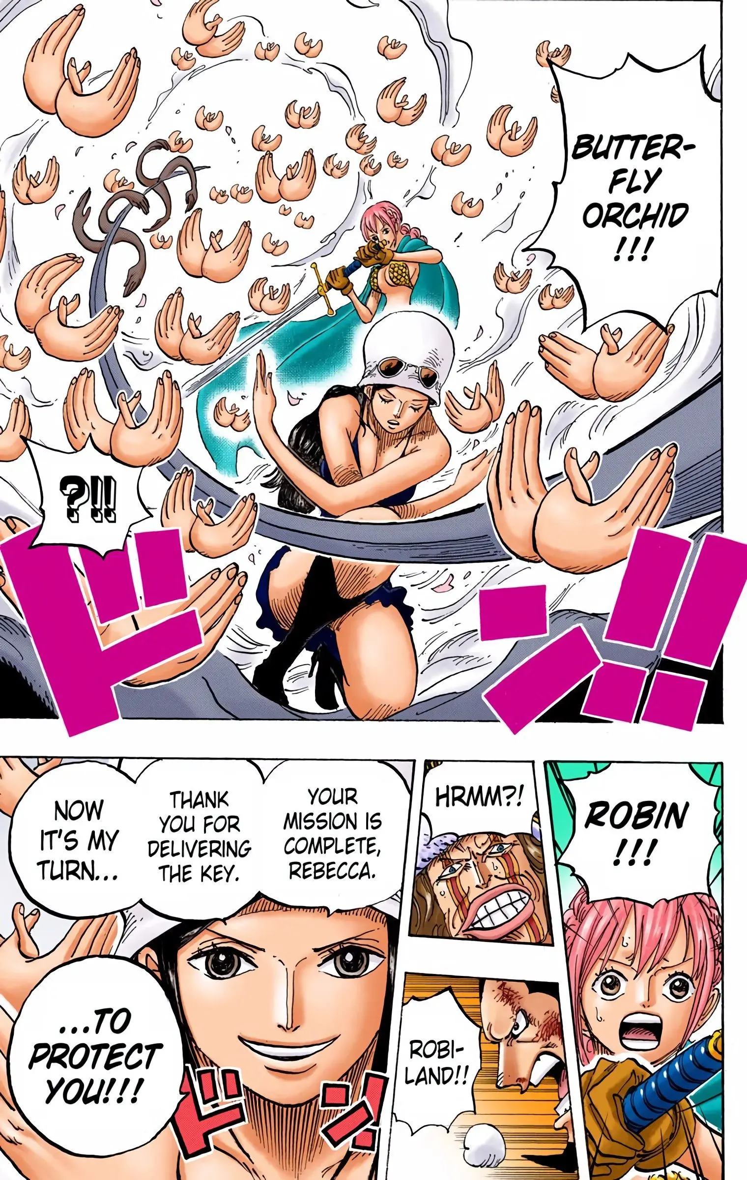 One Piece Colored, chapter 773, page 17