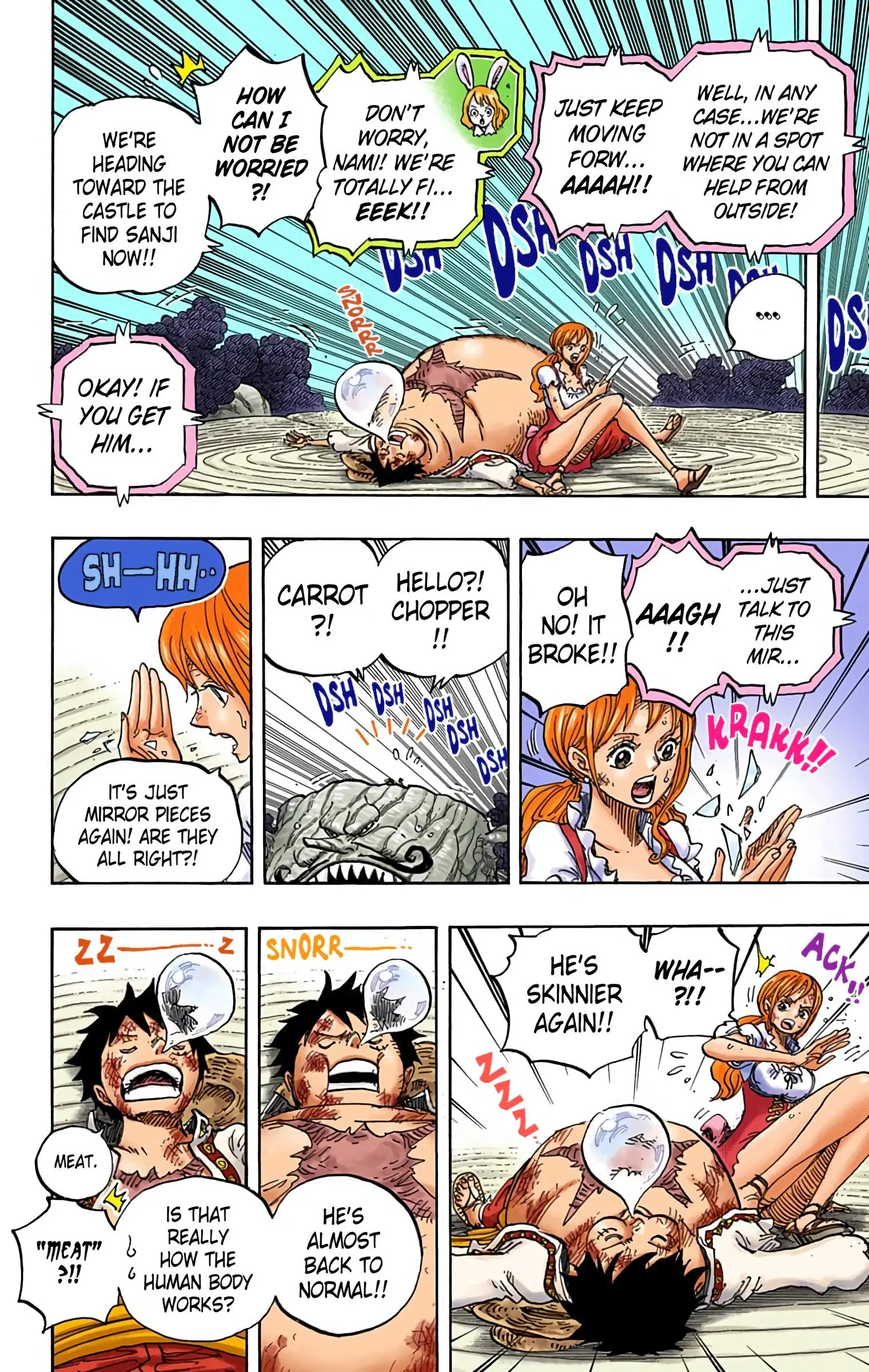 One Piece Colored, chapter 843, page 9