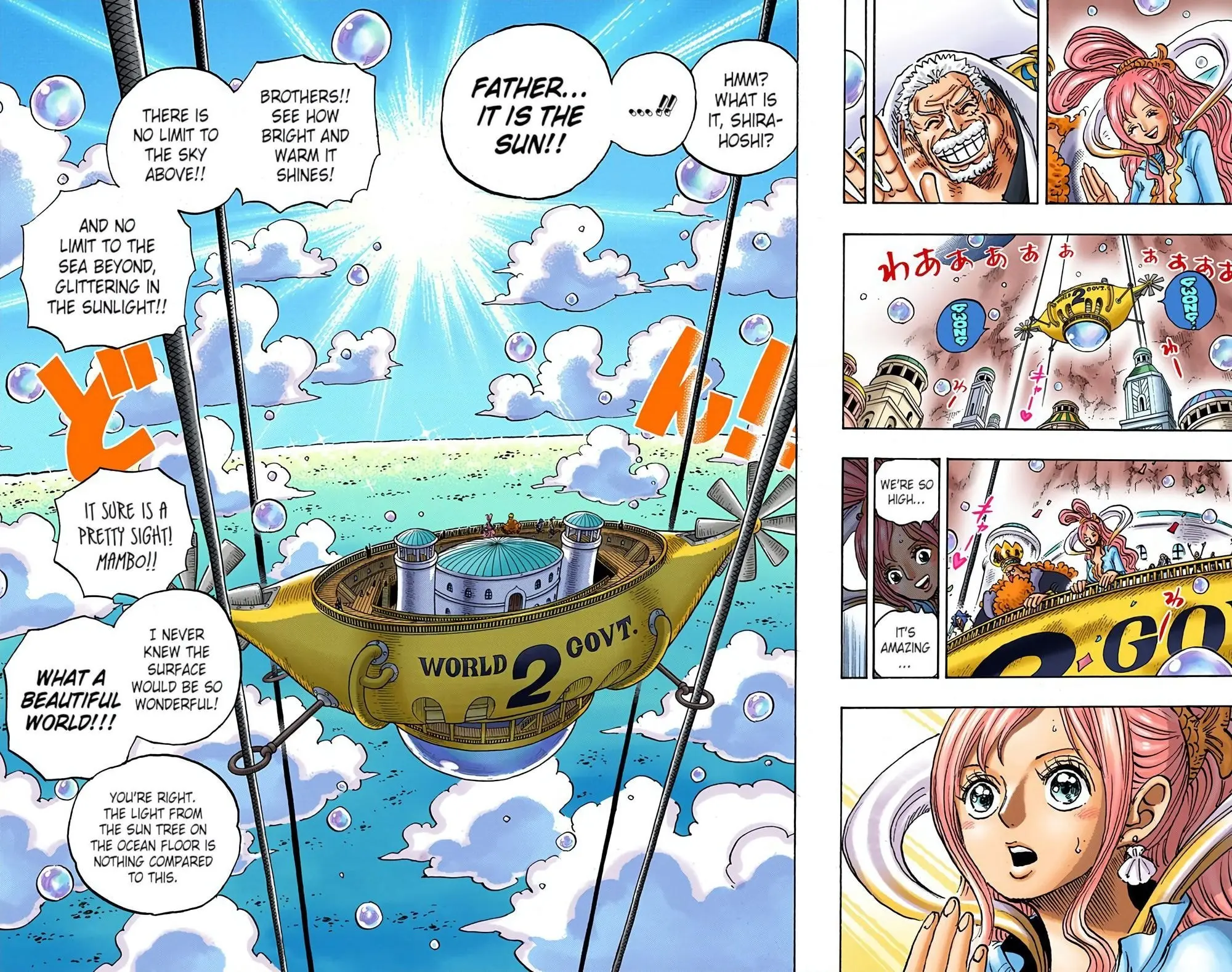One Piece Colored, chapter 905, page 11