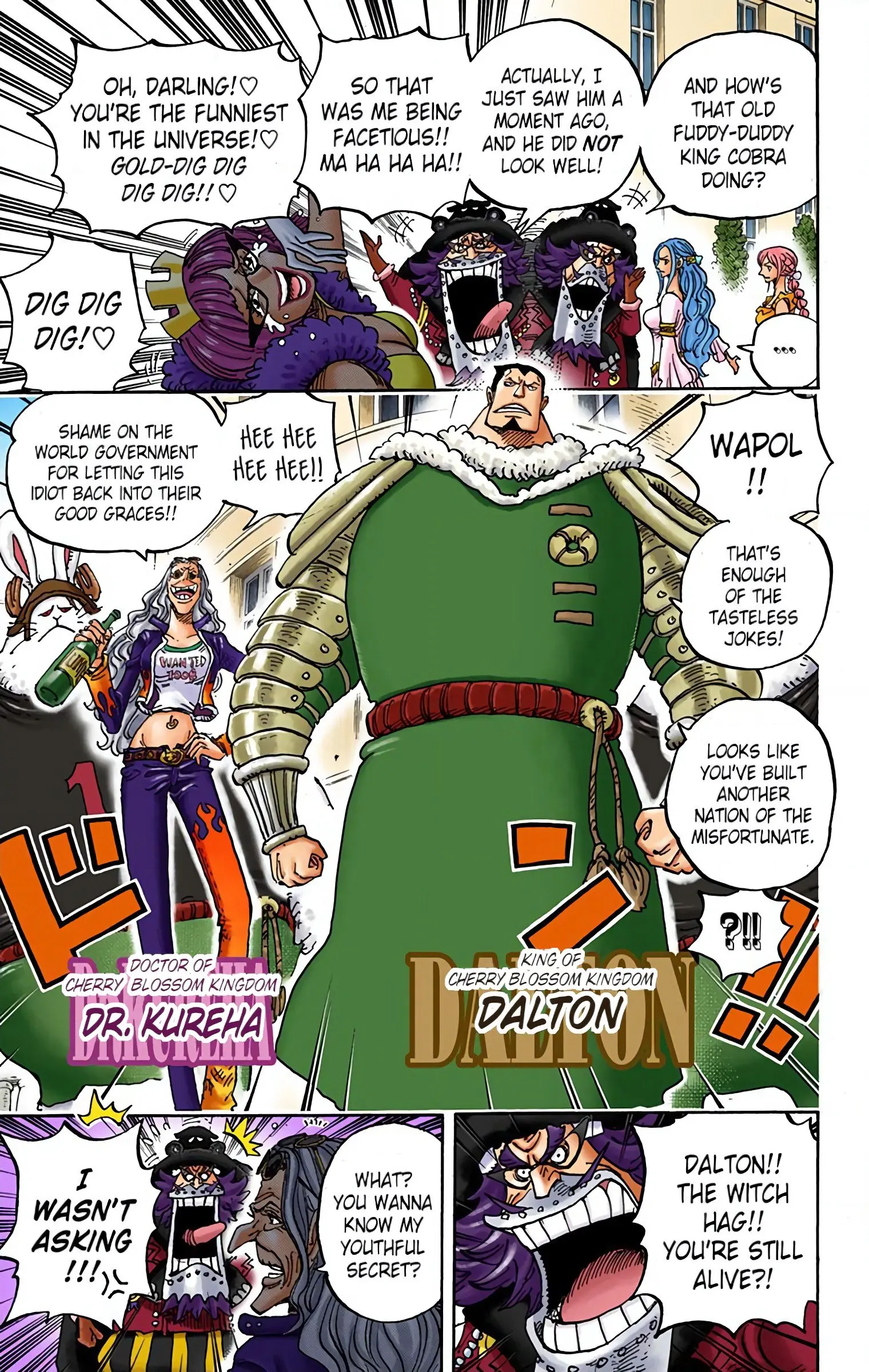 One Piece Colored, chapter 906, page 13