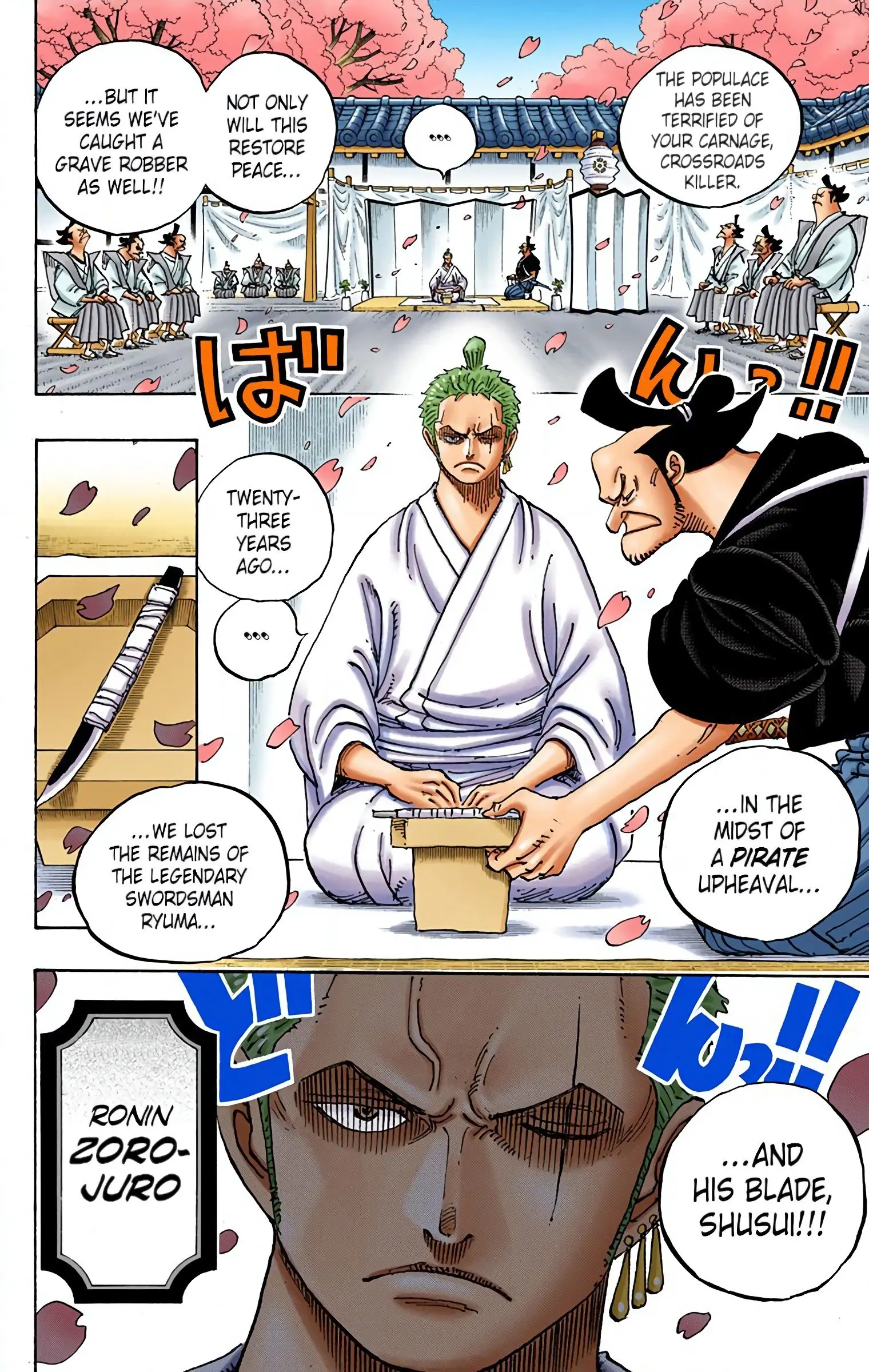 One Piece Colored, chapter 909, page 13