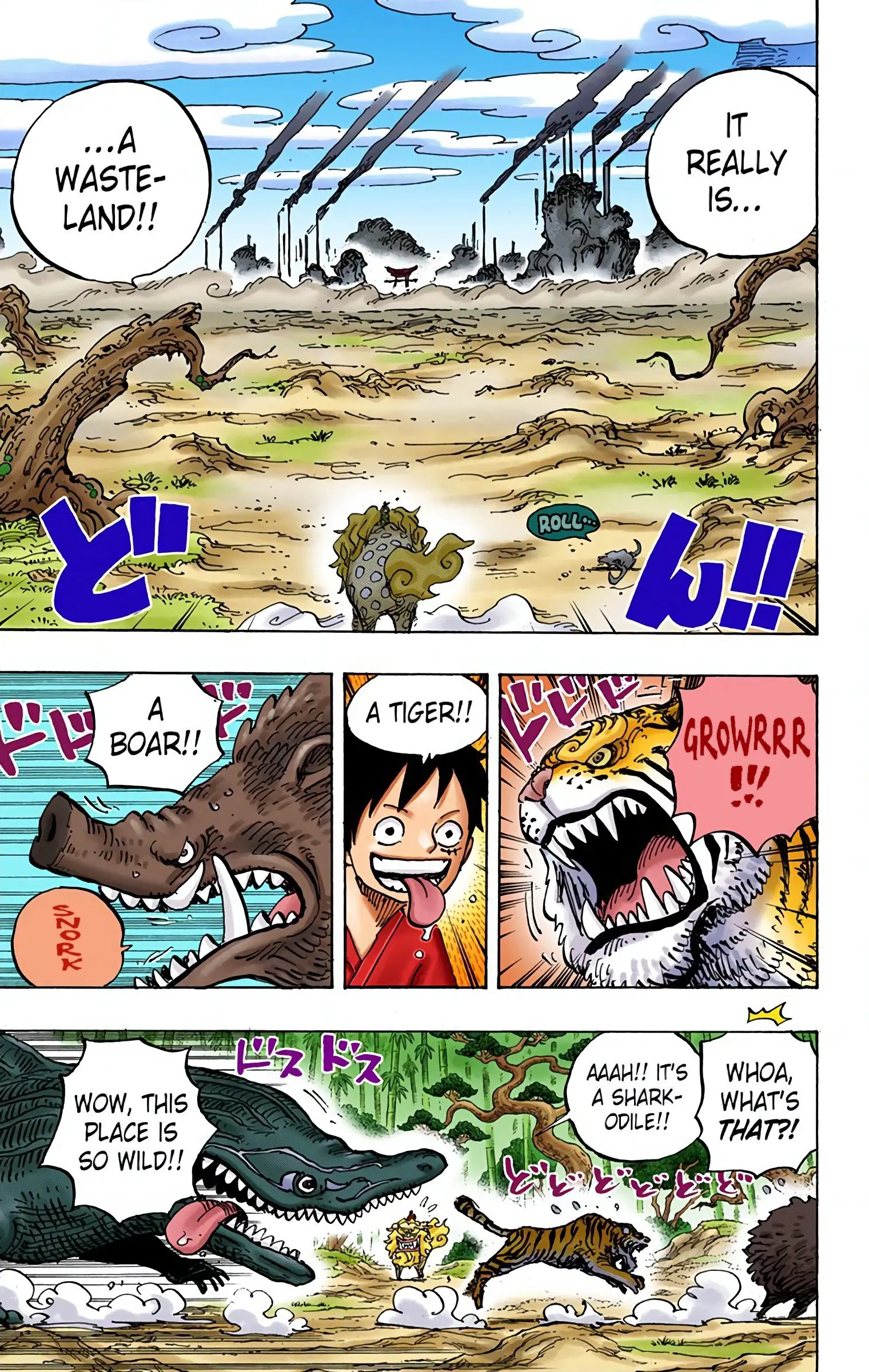 One Piece Colored, chapter 912, page 13