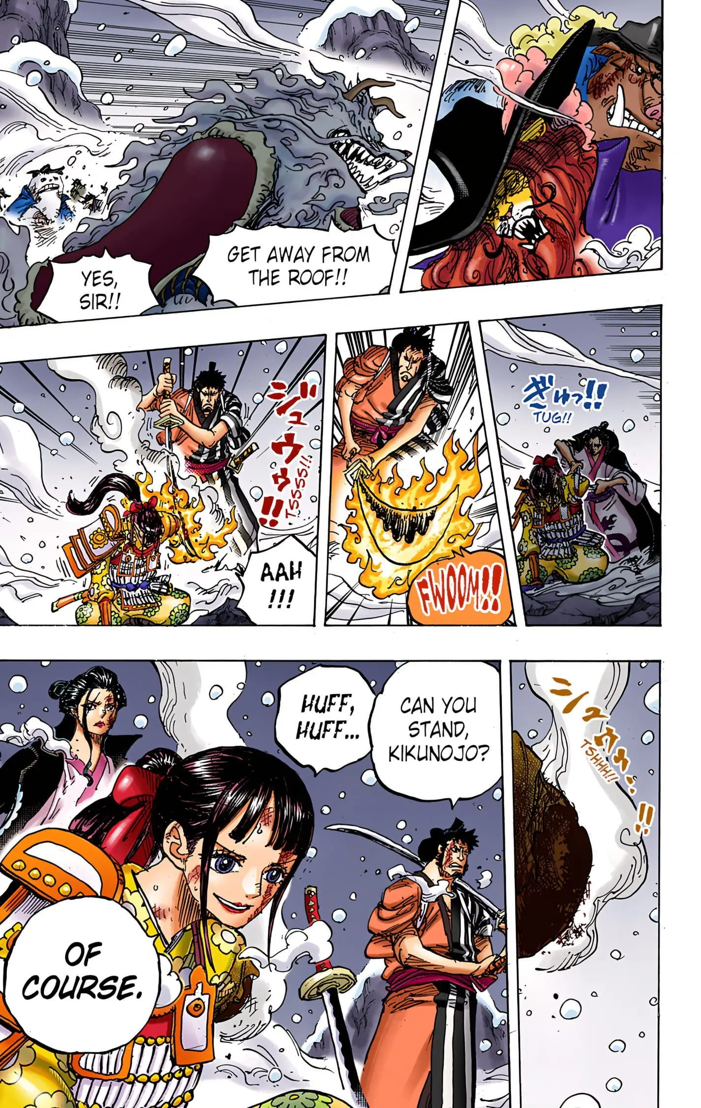 One Piece Colored, chapter 994, page 3