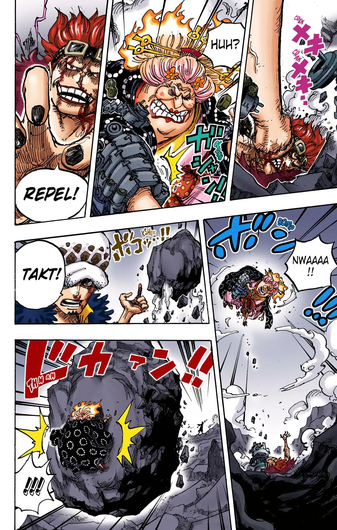 One Piece Colored, chapter 1009, page 15