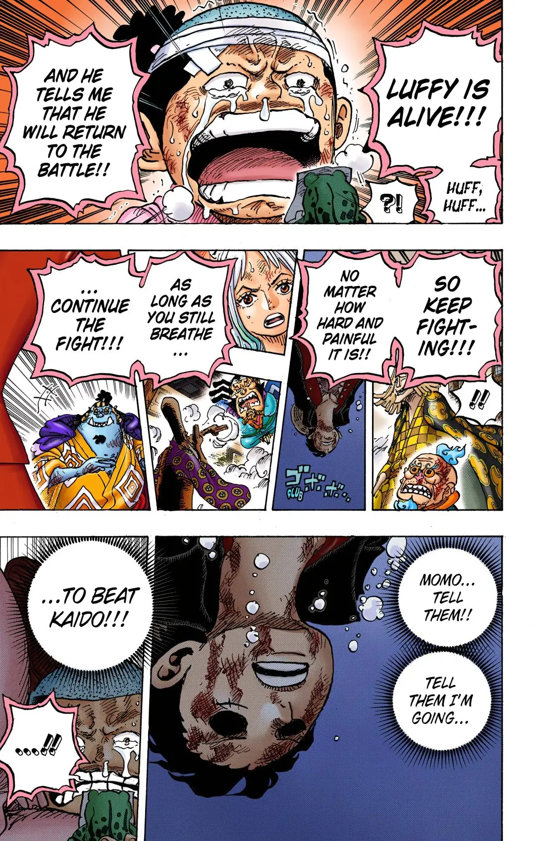 One Piece Colored, chapter 1015, page 12