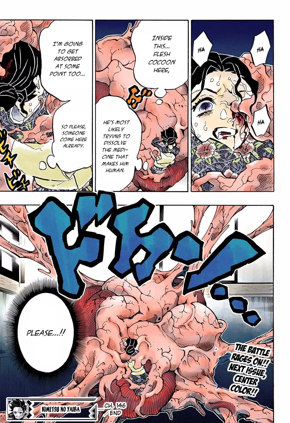 Demon Slayer Infinity Castle Colored Manga, chapter 146, page 19