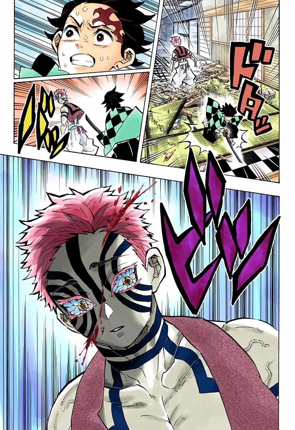 Demon Slayer Infinity Castle Colored Manga, chapter 147, page 16