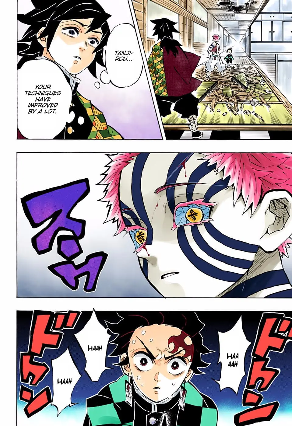 Demon Slayer Infinity Castle Colored Manga, chapter 147, page 17