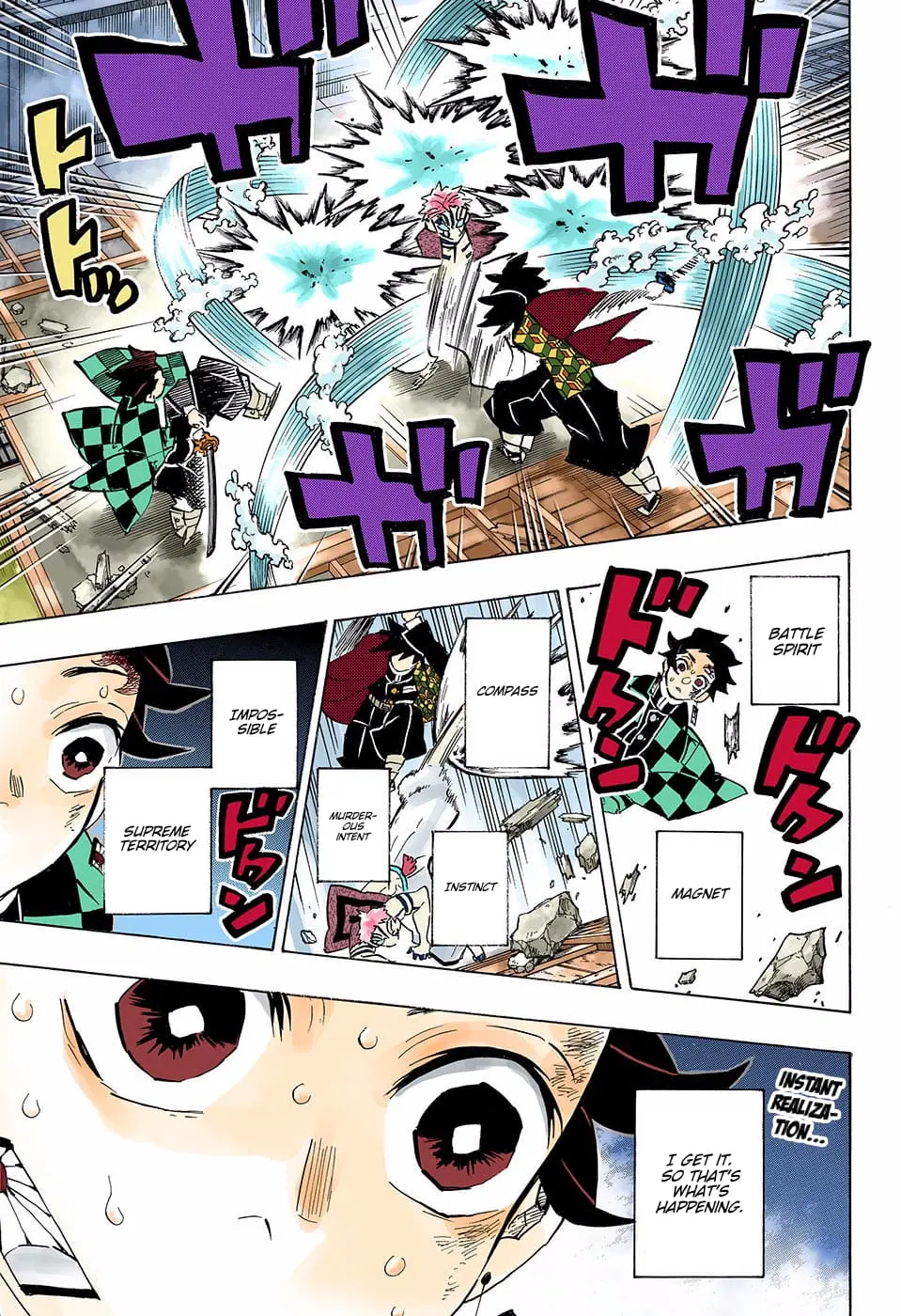 Demon Slayer Infinity Castle Colored Manga, chapter 150, page 19