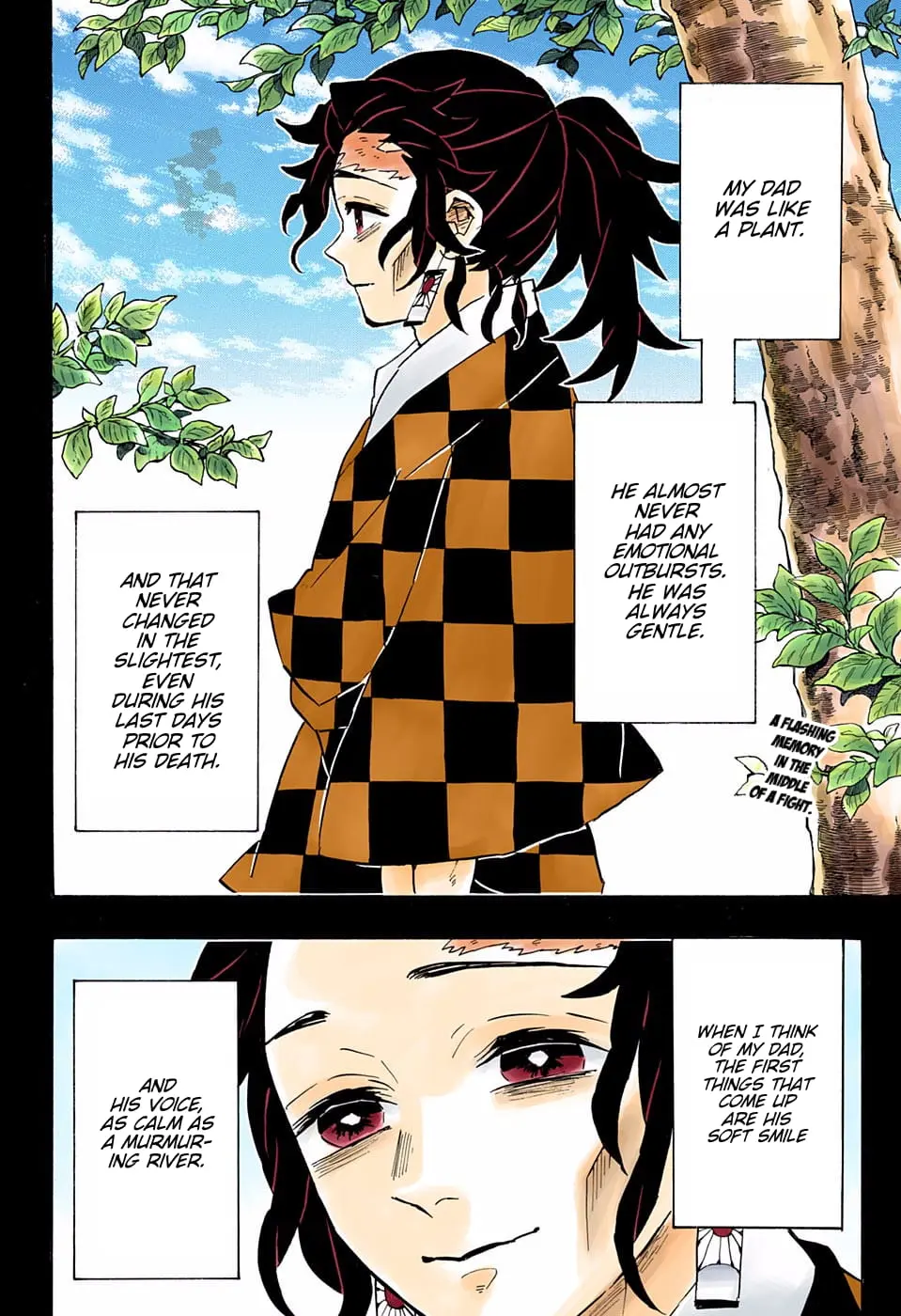 Demon Slayer Infinity Castle Colored Manga, chapter 151, page 2