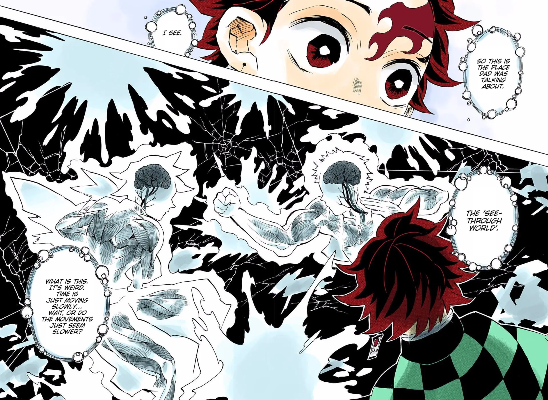 Demon Slayer Infinity Castle Colored Manga, chapter 152, page 14
