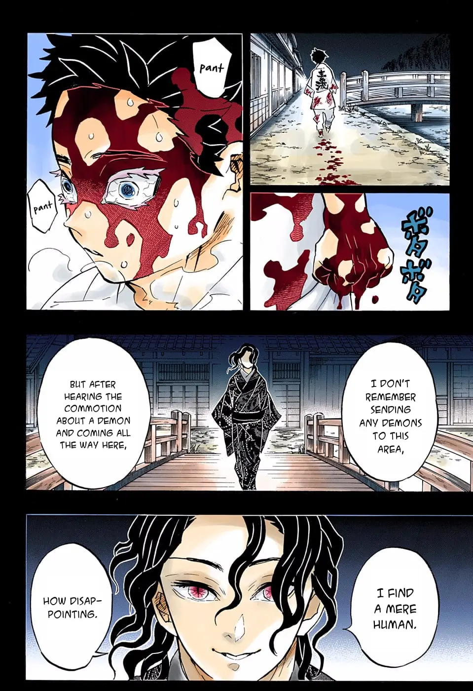 Demon Slayer Infinity Castle Colored Manga, chapter 155, page 16