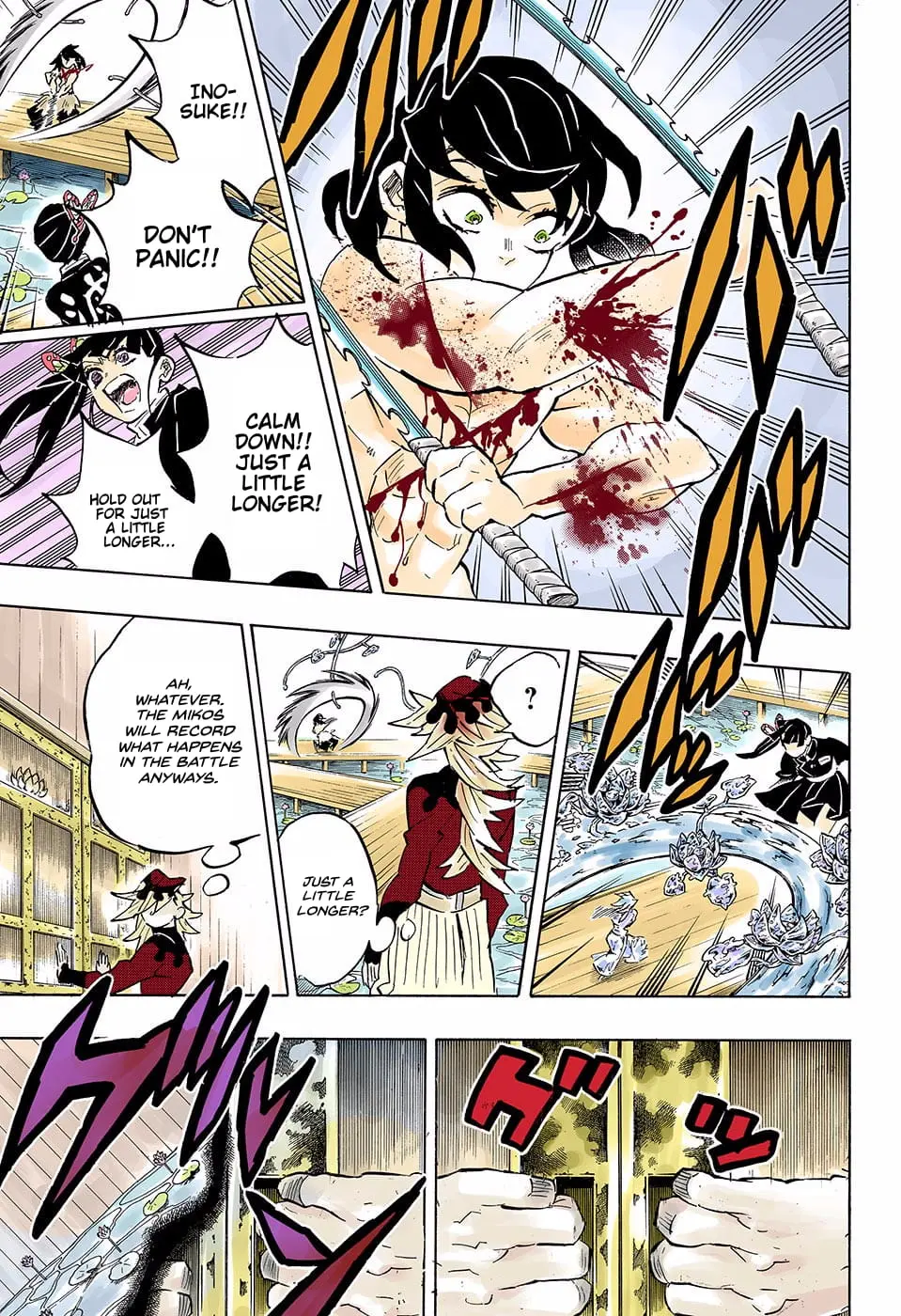 Demon Slayer Infinity Castle Colored Manga, chapter 161, page 17