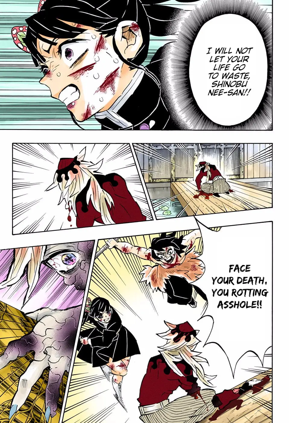 Demon Slayer Infinity Castle Colored Manga, chapter 162, page 13