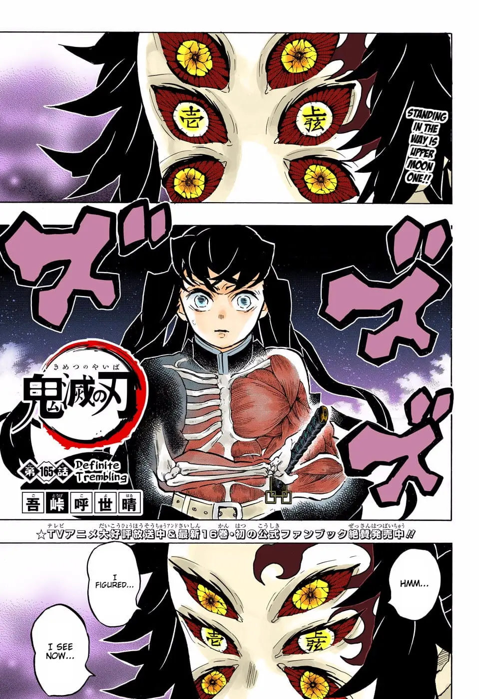 Demon Slayer Infinity Castle Colored Manga, chapter 165, page 1