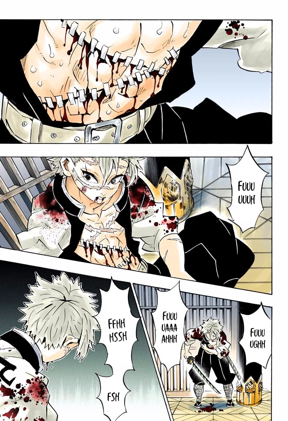 Demon Slayer Infinity Castle Colored Manga, chapter 170, page 15