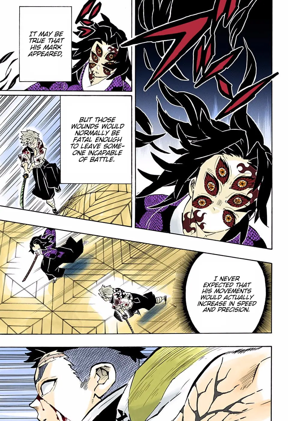 Demon Slayer Infinity Castle Colored Manga, chapter 171, page 9
