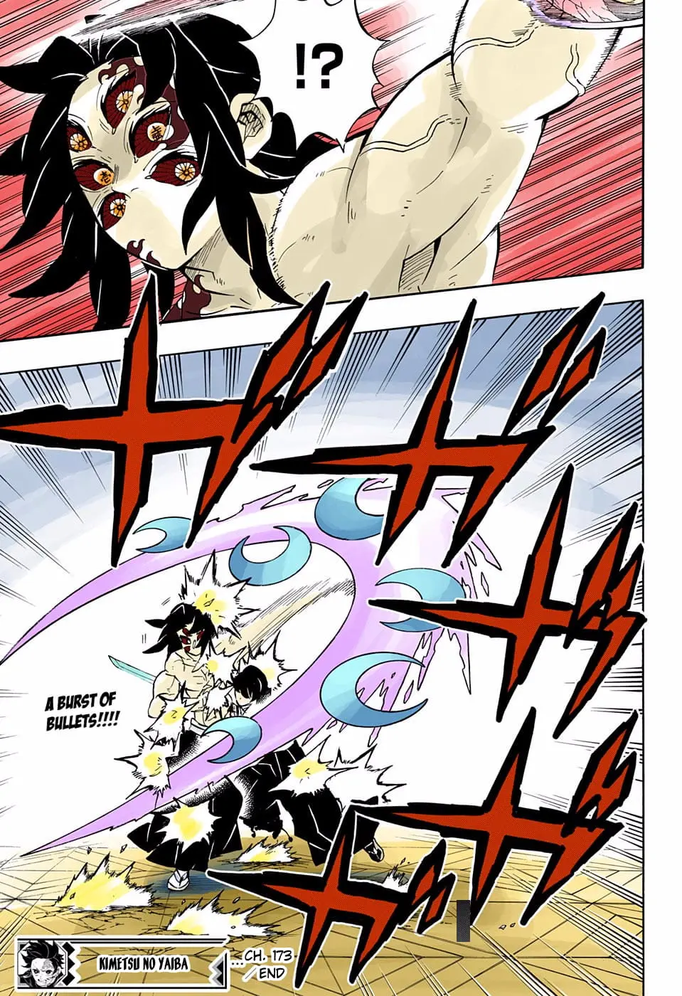 Demon Slayer Infinity Castle Colored Manga, chapter 173, page 19