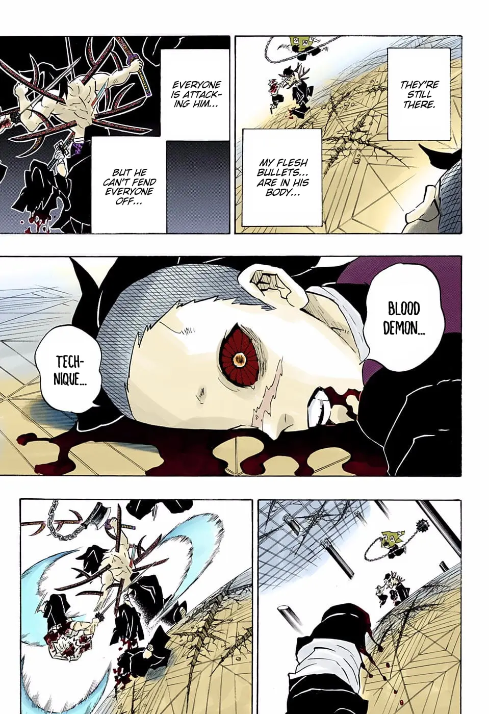 Demon Slayer Infinity Castle Colored Manga, chapter 175, page 14