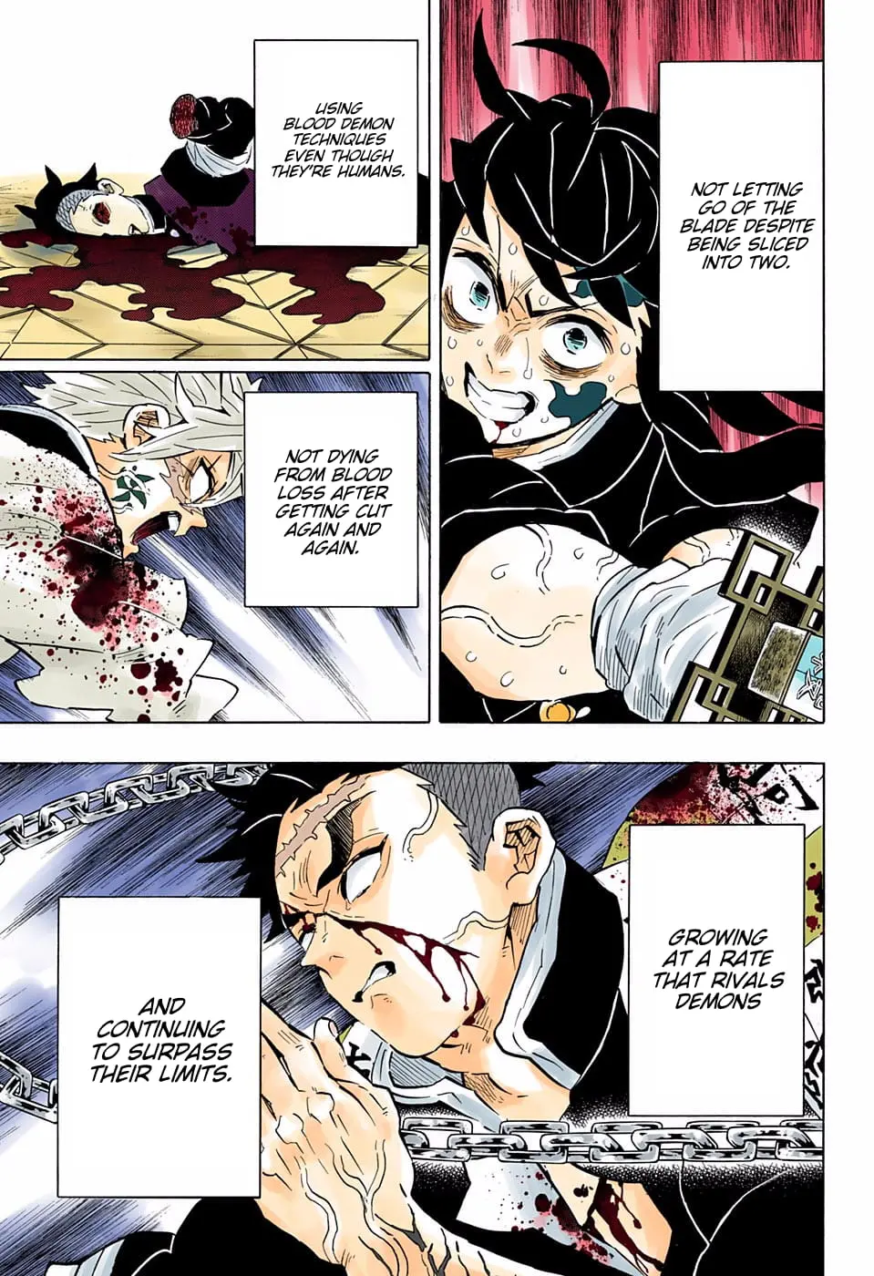 Demon Slayer Infinity Castle Colored Manga, chapter 176, page 3