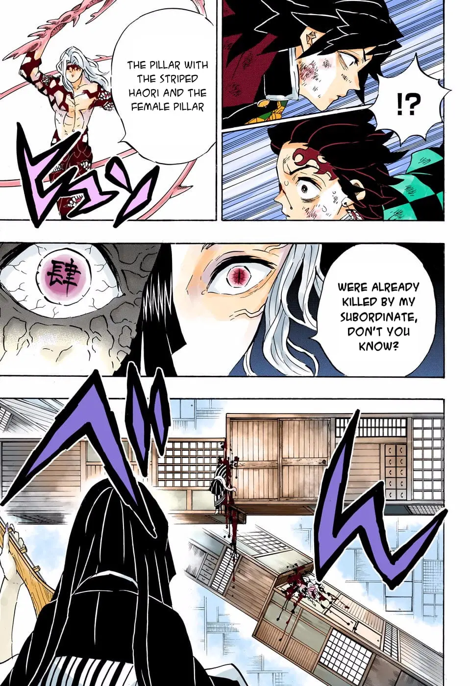Demon Slayer Infinity Castle Colored Manga, chapter 182, page 14
