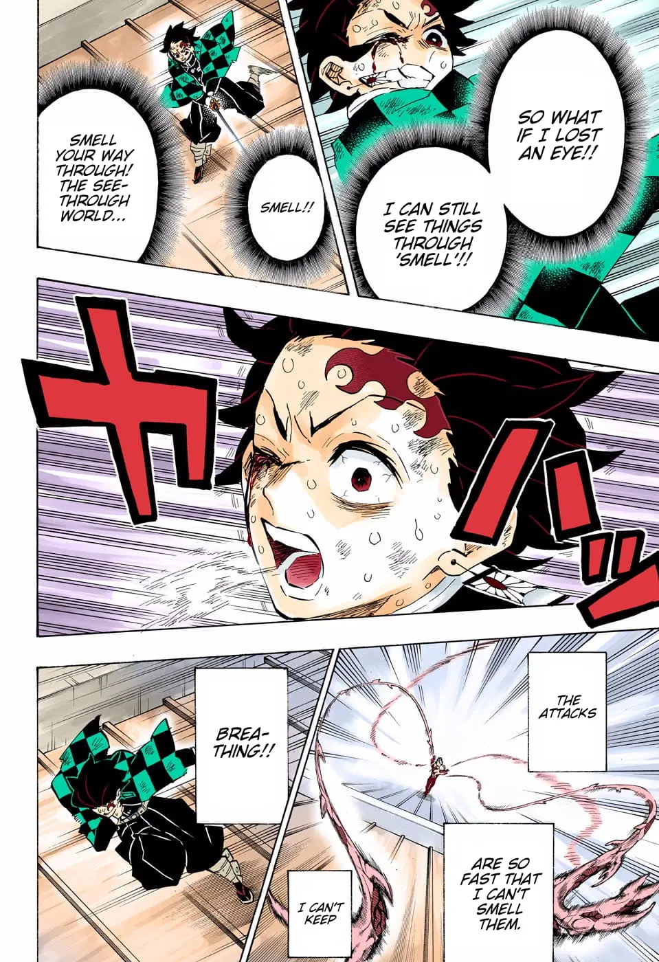 Demon Slayer Infinity Castle Colored Manga, chapter 182, page 17