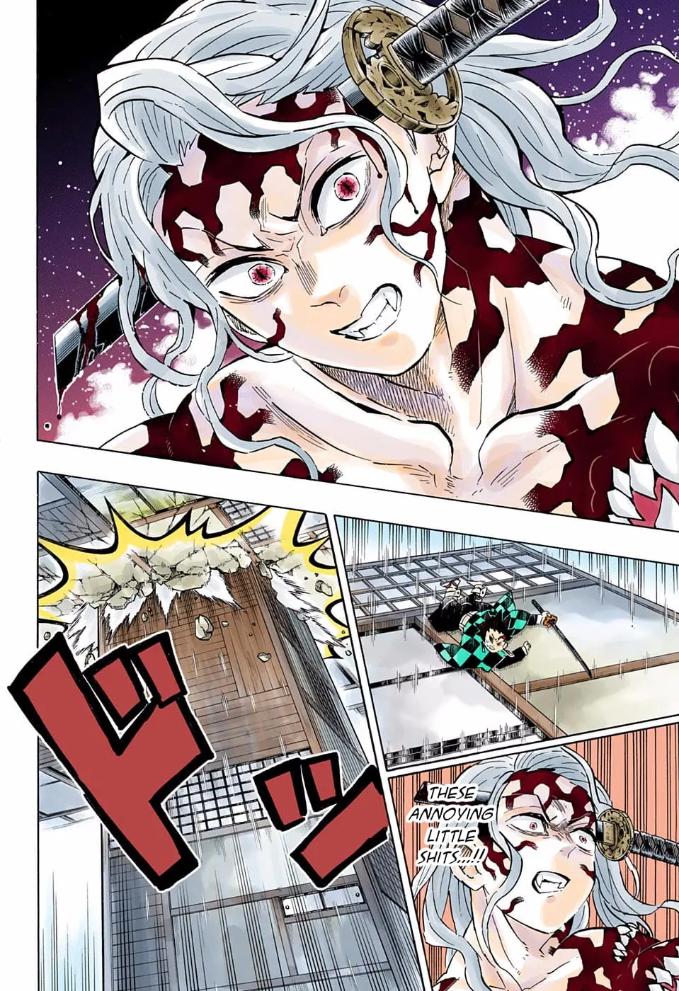 Demon Slayer Infinity Castle Colored Manga, chapter 183, page 18