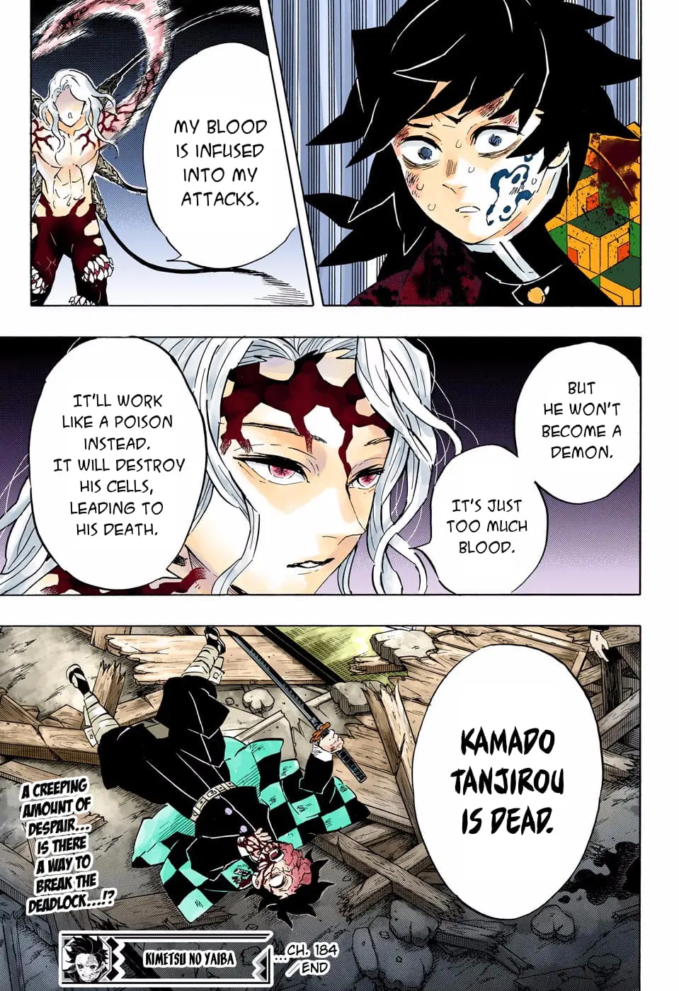 Demon Slayer Infinity Castle Colored Manga, chapter 184, page 18