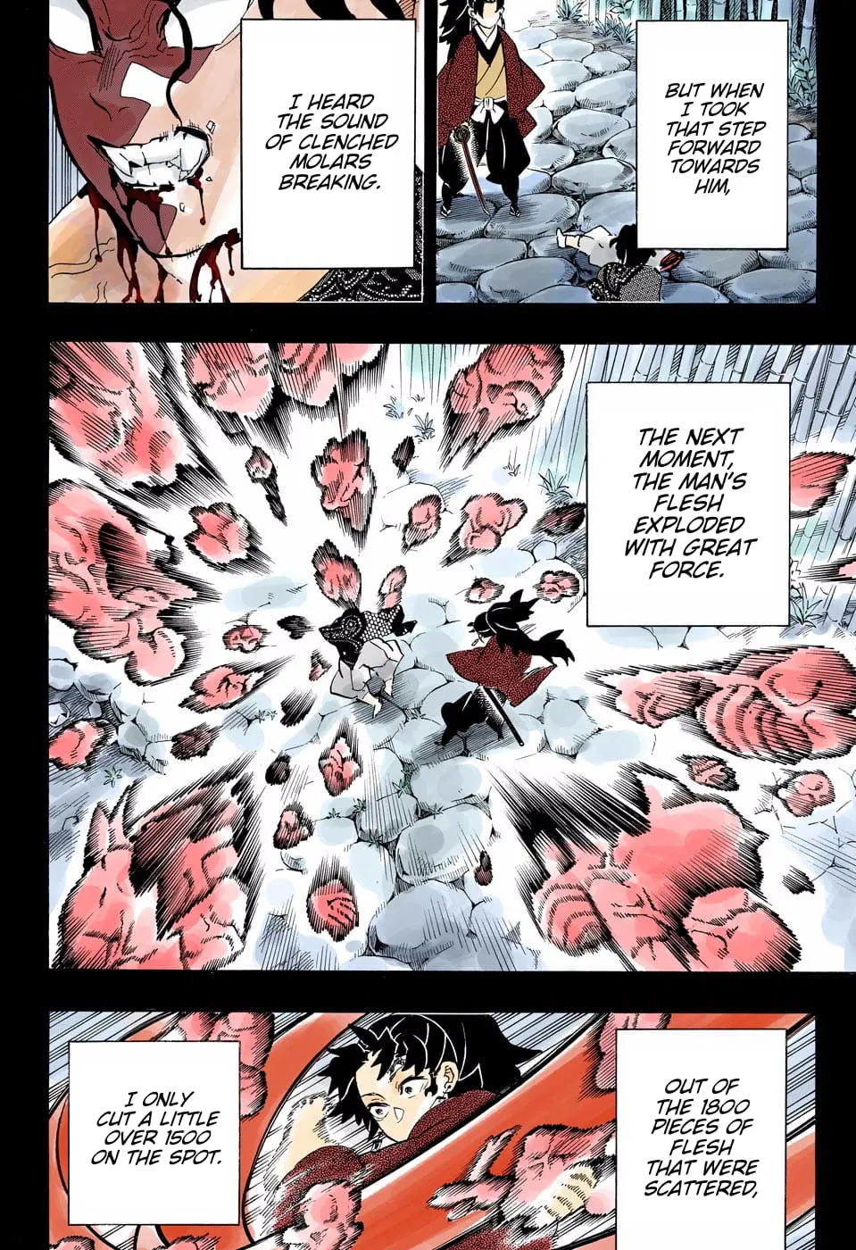 Demon Slayer Infinity Castle Colored Manga, chapter 187, page 7