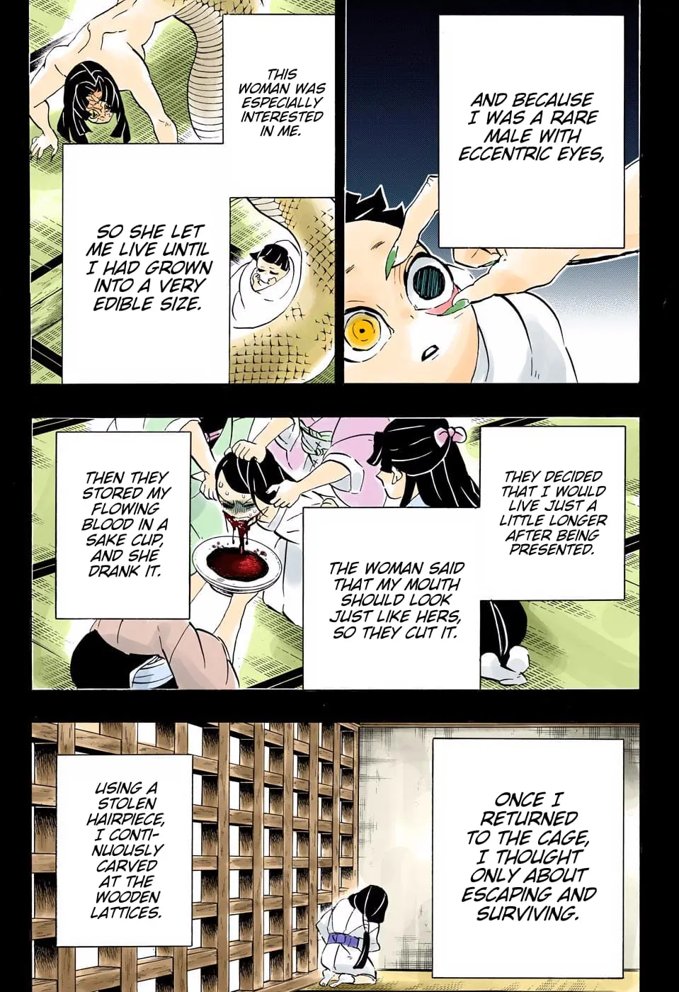 Demon Slayer Infinity Castle Colored Manga, chapter 188, page 15