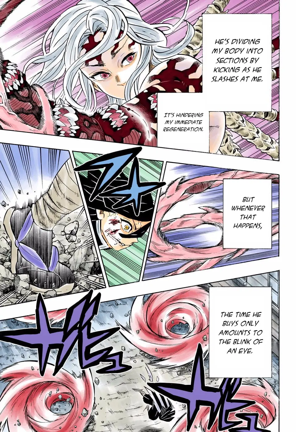 Demon Slayer Infinity Castle Colored Manga, chapter 189, page 5