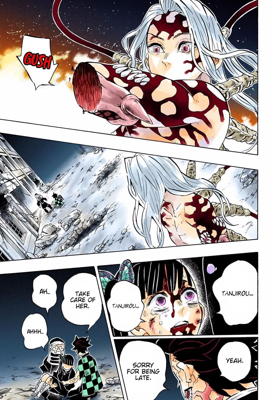 Demon Slayer Infinity Castle Colored Manga, chapter 191, page 20