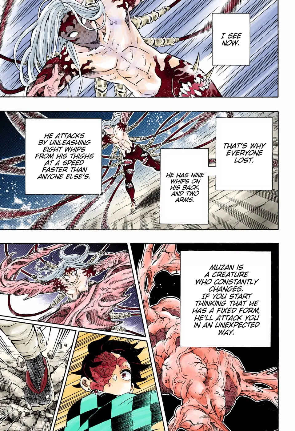 Demon Slayer Infinity Castle Colored Manga, chapter 192, page 17