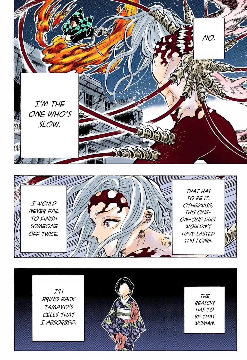 Demon Slayer Infinity Castle Colored Manga, chapter 193, page 14