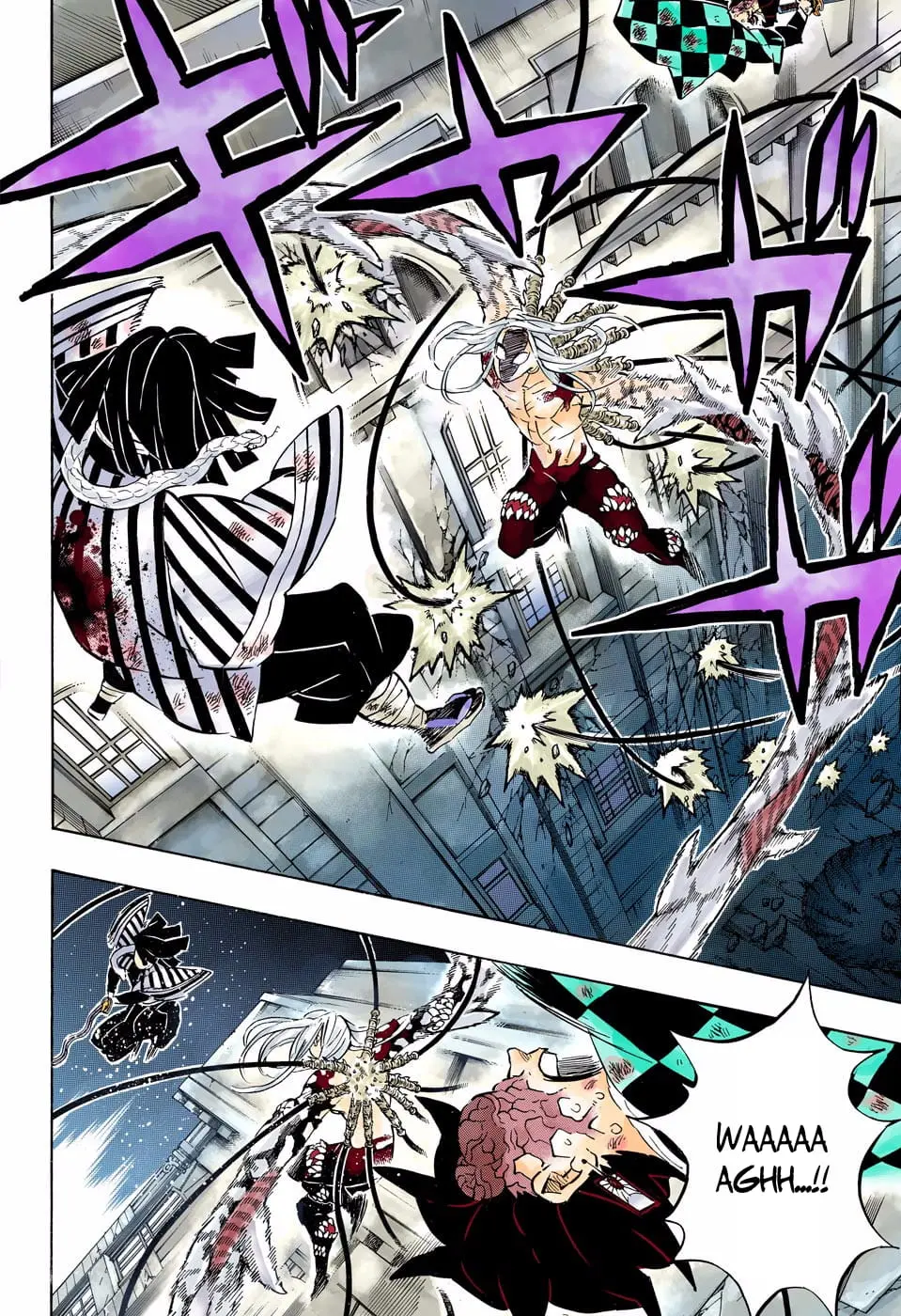 Demon Slayer Infinity Castle Colored Manga, chapter 194, page 12