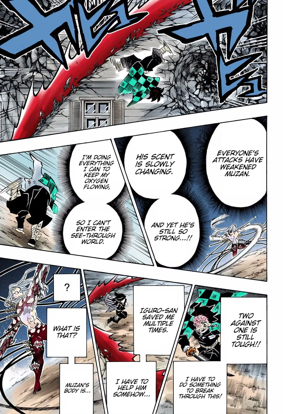 Demon Slayer Infinity Castle Colored Manga, chapter 194, page 17