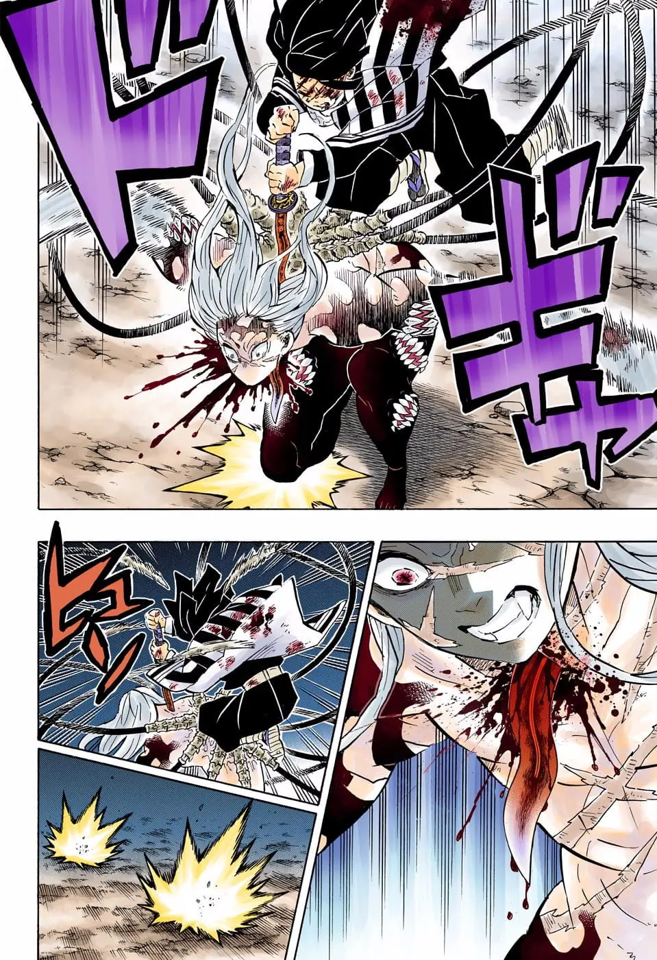 Demon Slayer Infinity Castle Colored Manga, chapter 195, page 11