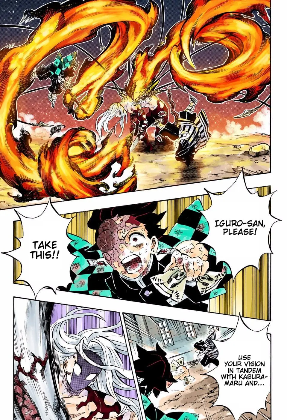 Demon Slayer Infinity Castle Colored Manga, chapter 195, page 12