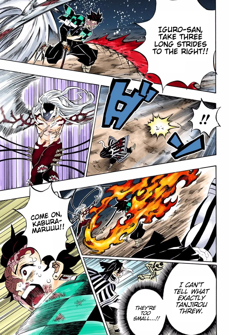 Demon Slayer Infinity Castle Colored Manga, chapter 195, page 14
