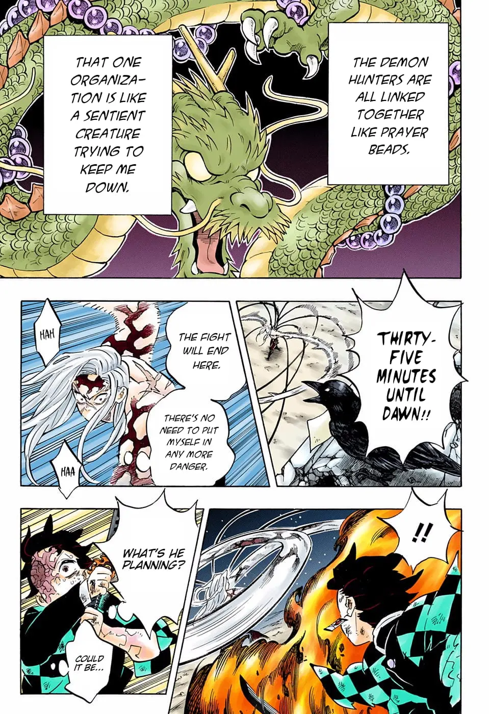 Demon Slayer Infinity Castle Colored Manga, chapter 196, page 15