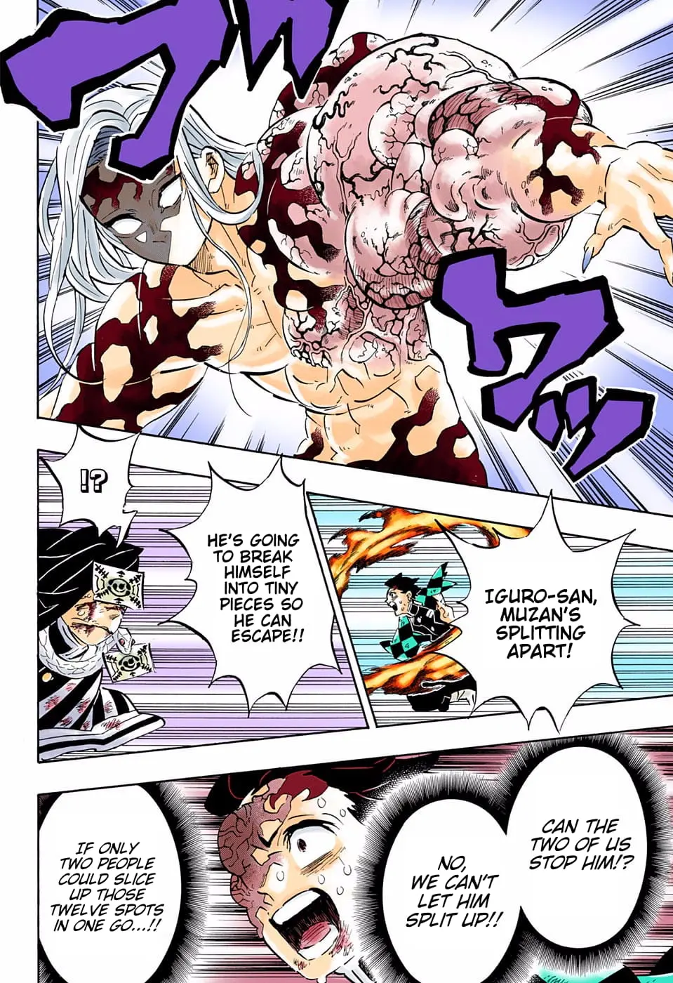Demon Slayer Infinity Castle Colored Manga, chapter 196, page 16