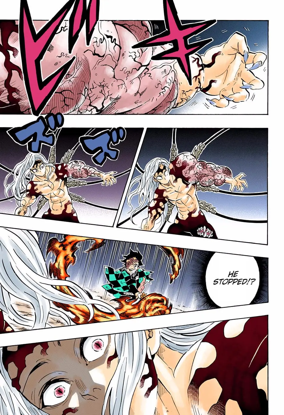 Demon Slayer Infinity Castle Colored Manga, chapter 196, page 17