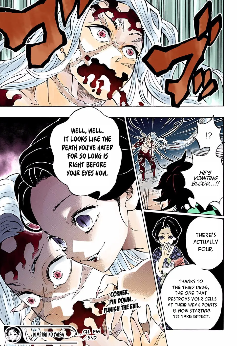 Demon Slayer Infinity Castle Colored Manga, chapter 196, page 19