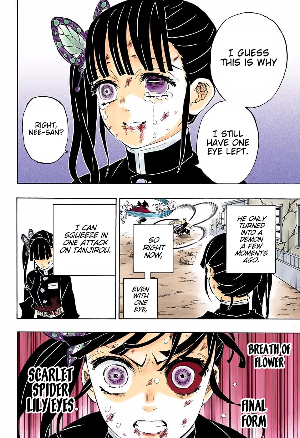 Demon Slayer Infinity Castle Colored Manga, chapter 202, page 16