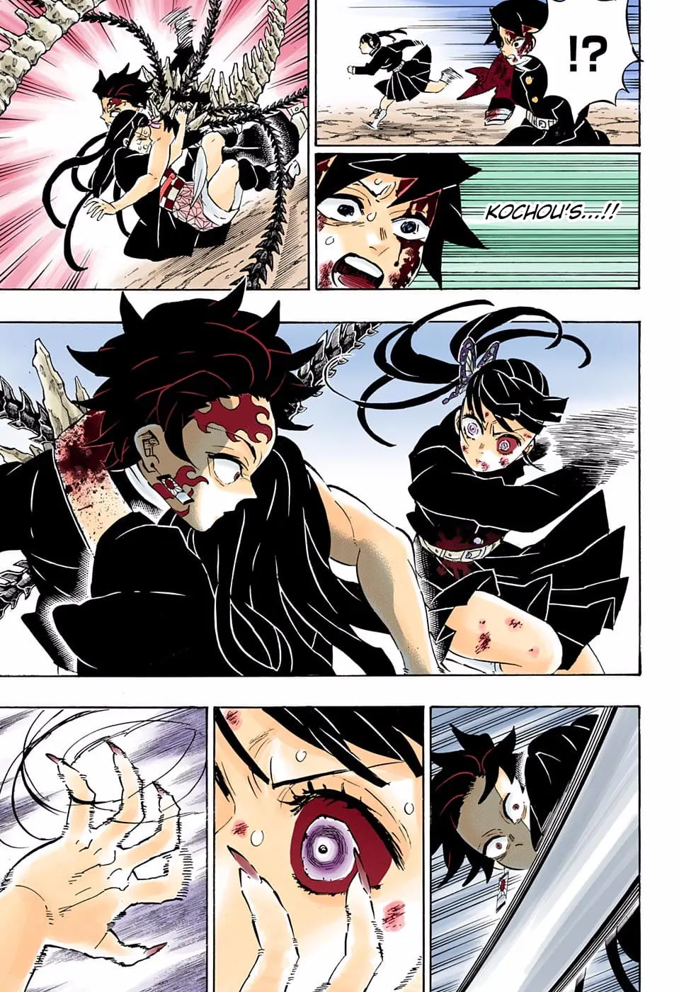 Demon Slayer Infinity Castle Colored Manga, chapter 202, page 17