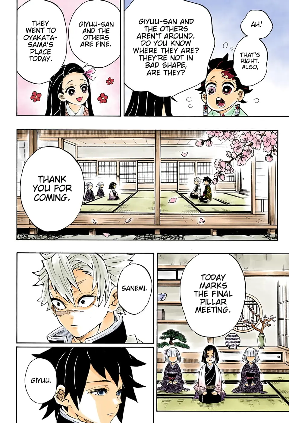 Demon Slayer Infinity Castle Colored Manga, chapter 204, page 12