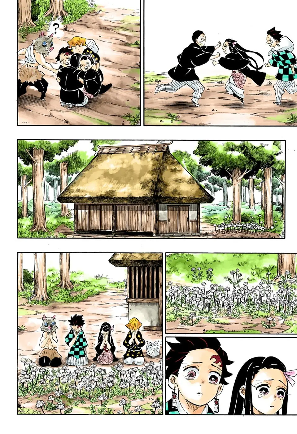 Demon Slayer Infinity Castle Colored Manga, chapter 204, page 28