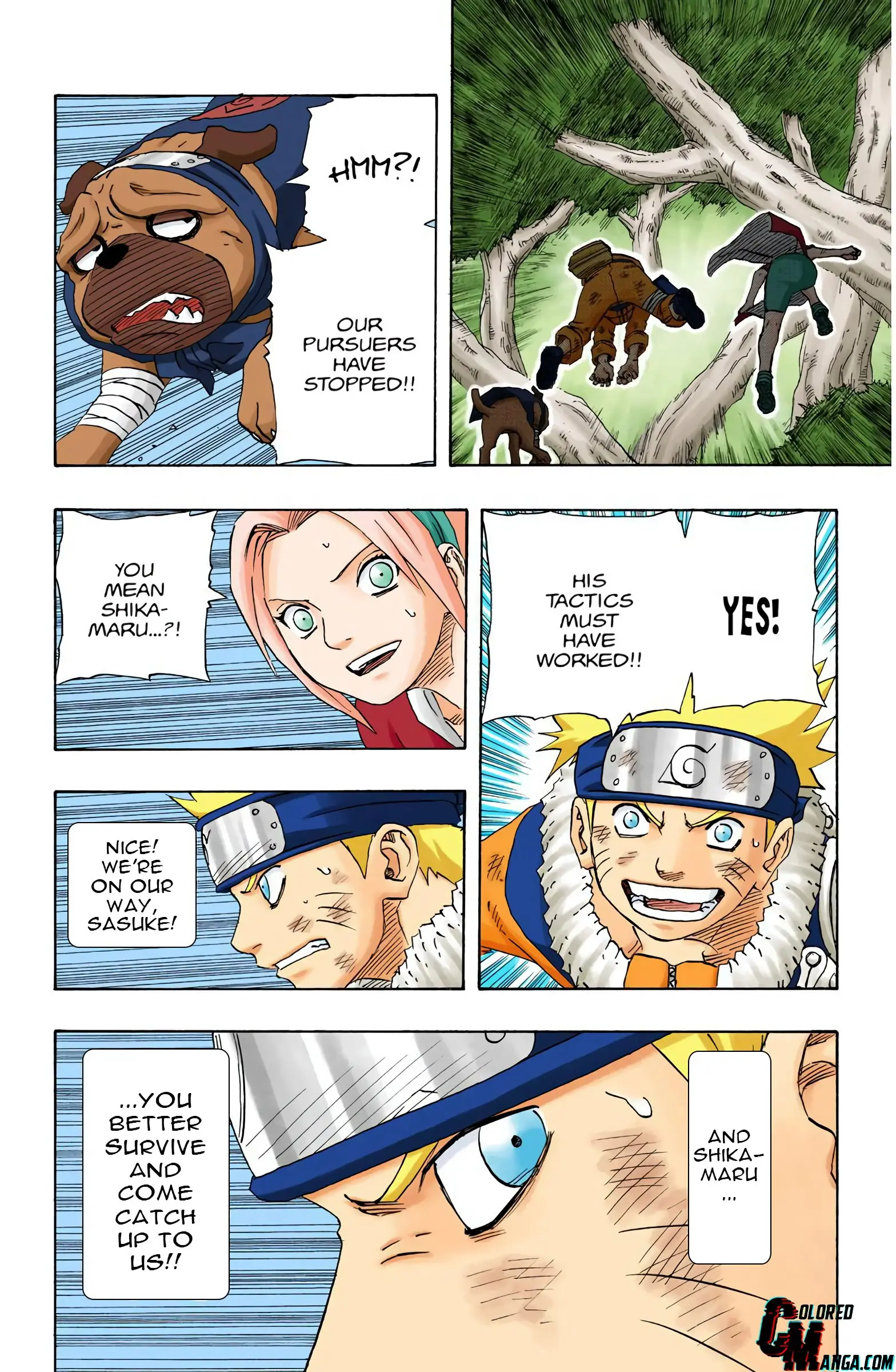 Naruto Colored Manga Online, chapter 119, page 7