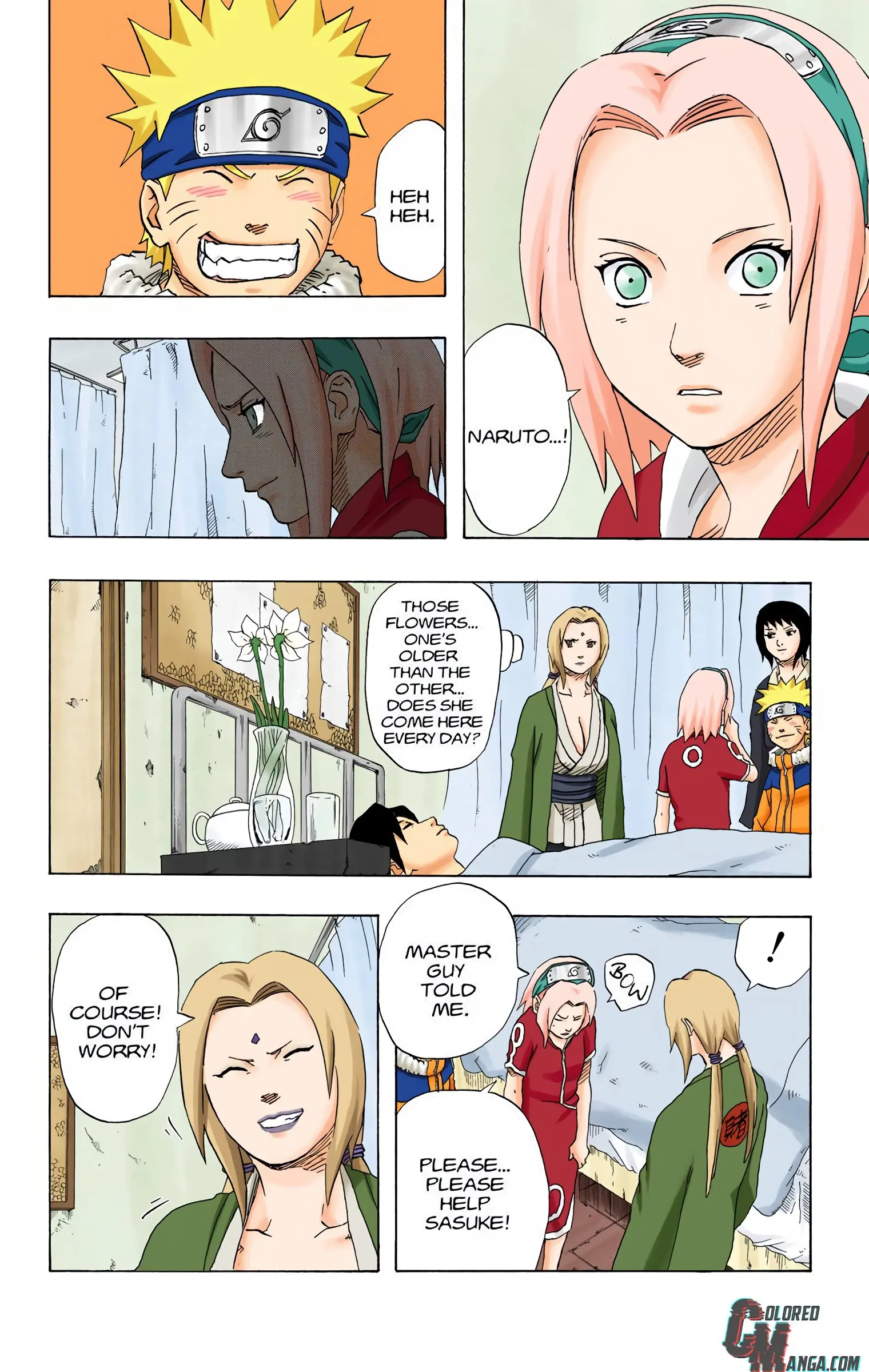 Naruto Colored Manga Online, chapter 172, page 20