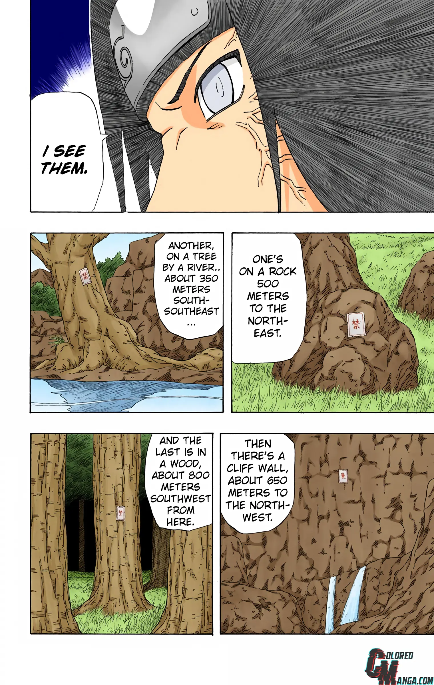 Naruto Colored Manga Online, chapter 263, page 13